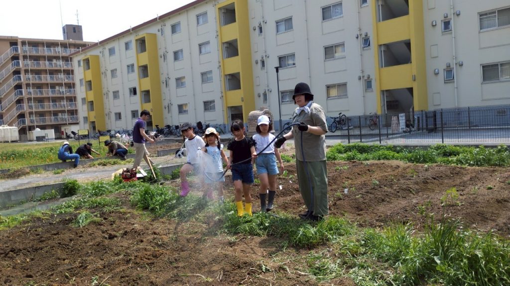 「ハタケ部2025年4月の活動報告」暑さに負けずに夏野菜＆果物植えにGO！のサムネイル画像