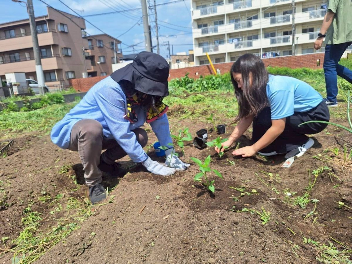 【ハタケ部】夏の足音が聞こえる！みんなで挑んだ「夏野菜の苗植え」